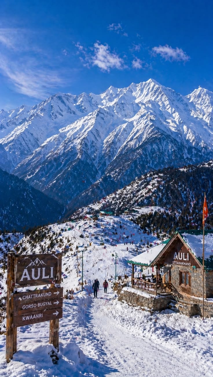 Auli